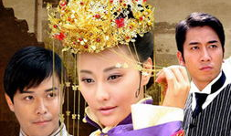 大丫鬟电视剧,宫廷深宅的悲欢离合